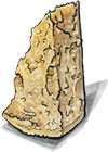 Parmigiano Reggiano Cheese selected by Cravero