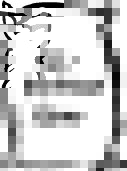Zingerman's Organic All Purpose Flour