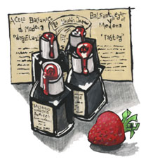 Aged Balsamic Vinegar Sampler 