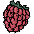 Michigan Raspberry Sorbet